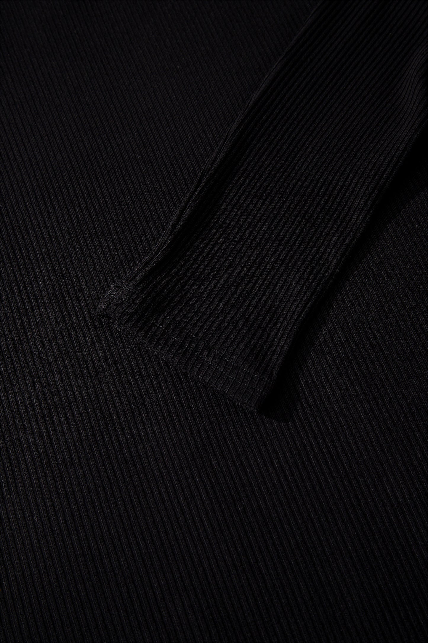 Black Ribbed Long Sleeve Crew Neck Solid Color Bodysuit-Tops/Bodysuits-[Adult]-[Female]-2022 Online Blue Zone Planet