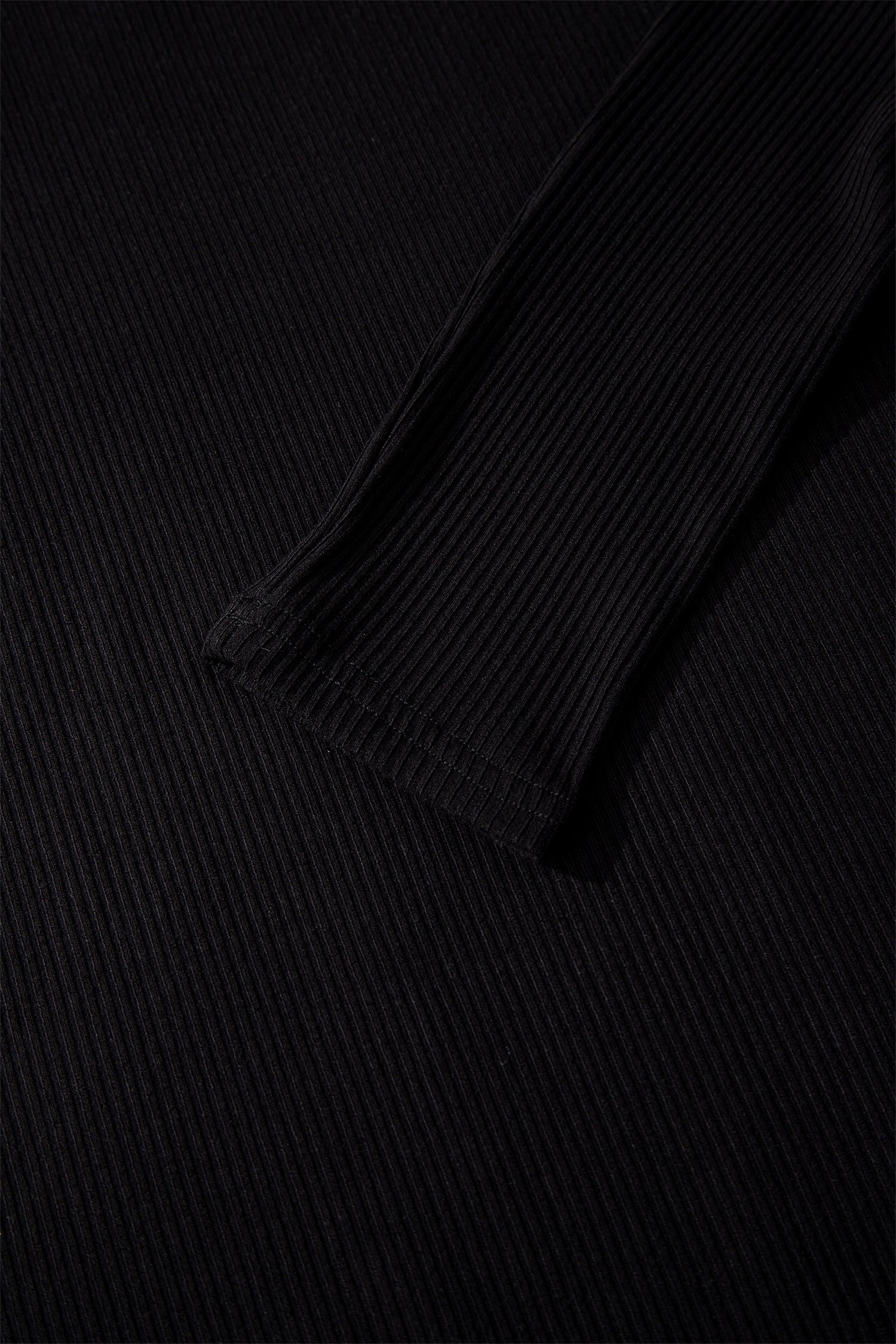 Black Ribbed Long Sleeve Crew Neck Solid Color Bodysuit-Tops/Bodysuits-[Adult]-[Female]-2022 Online Blue Zone Planet