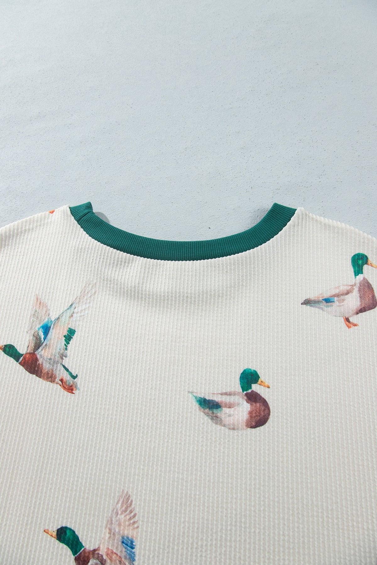 Beige Mallard Duck Print Plus Size Twisted Ribbed Top-Plus Size/Plus Size Tops/Plus Size Long Sleeve Tops-[Adult]-[Female]-2022 Online Blue Zone Planet