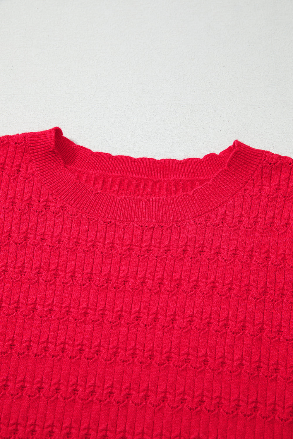 Fiery Red Trendy Pattern Knit Ribbed Cuffs Crew Neck Sweater-TOPS / DRESSES-[Adult]-[Female]-2022 Online Blue Zone Planet
