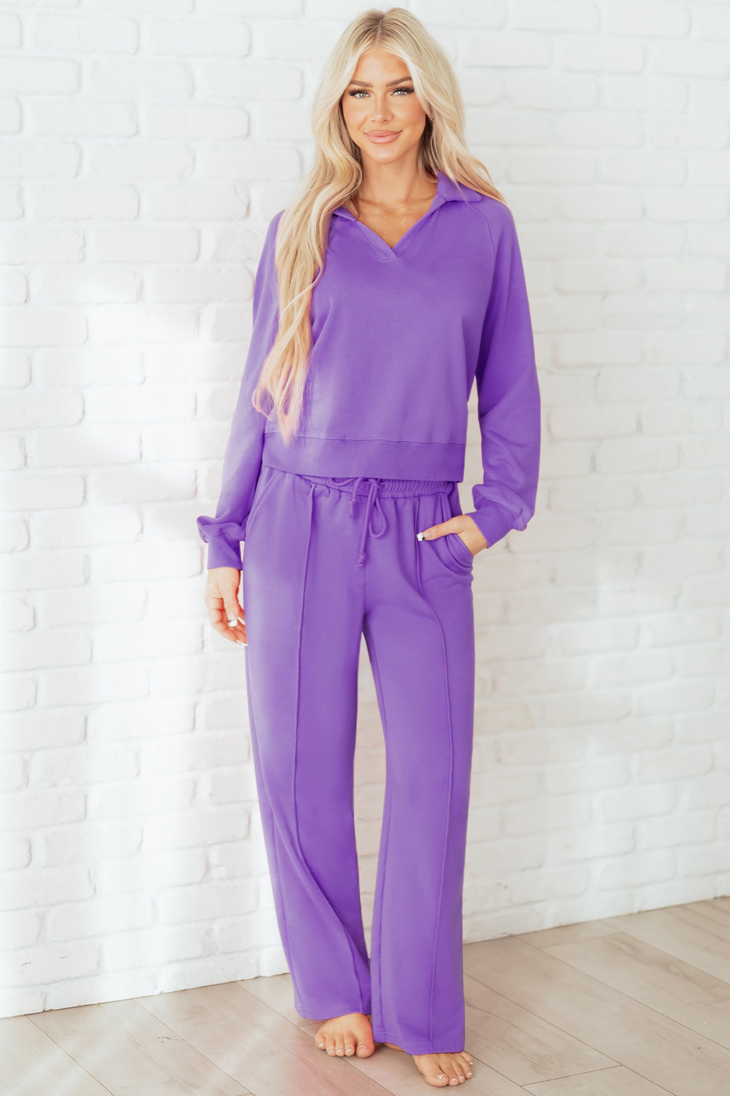 Wisteria Solid Color Collared Pullover and Central Seam Pants Set-Two Piece Sets/Pant Sets-[Adult]-[Female]-2022 Online Blue Zone Planet