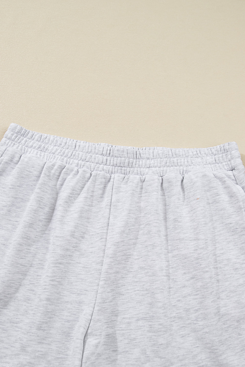 Light Grey Girly Bow Embroidered Puff Sleeve Pullover Loose Shorts Plus 2pcs Outfit-Plus Size/Plus Size Loungewear-[Adult]-[Female]-2022 Online Blue Zone Planet