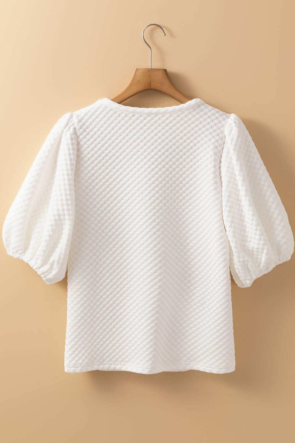 Textured Round Neck Puff Sleeve Blouse-TOPS / DRESSES-[Adult]-[Female]-2022 Online Blue Zone Planet