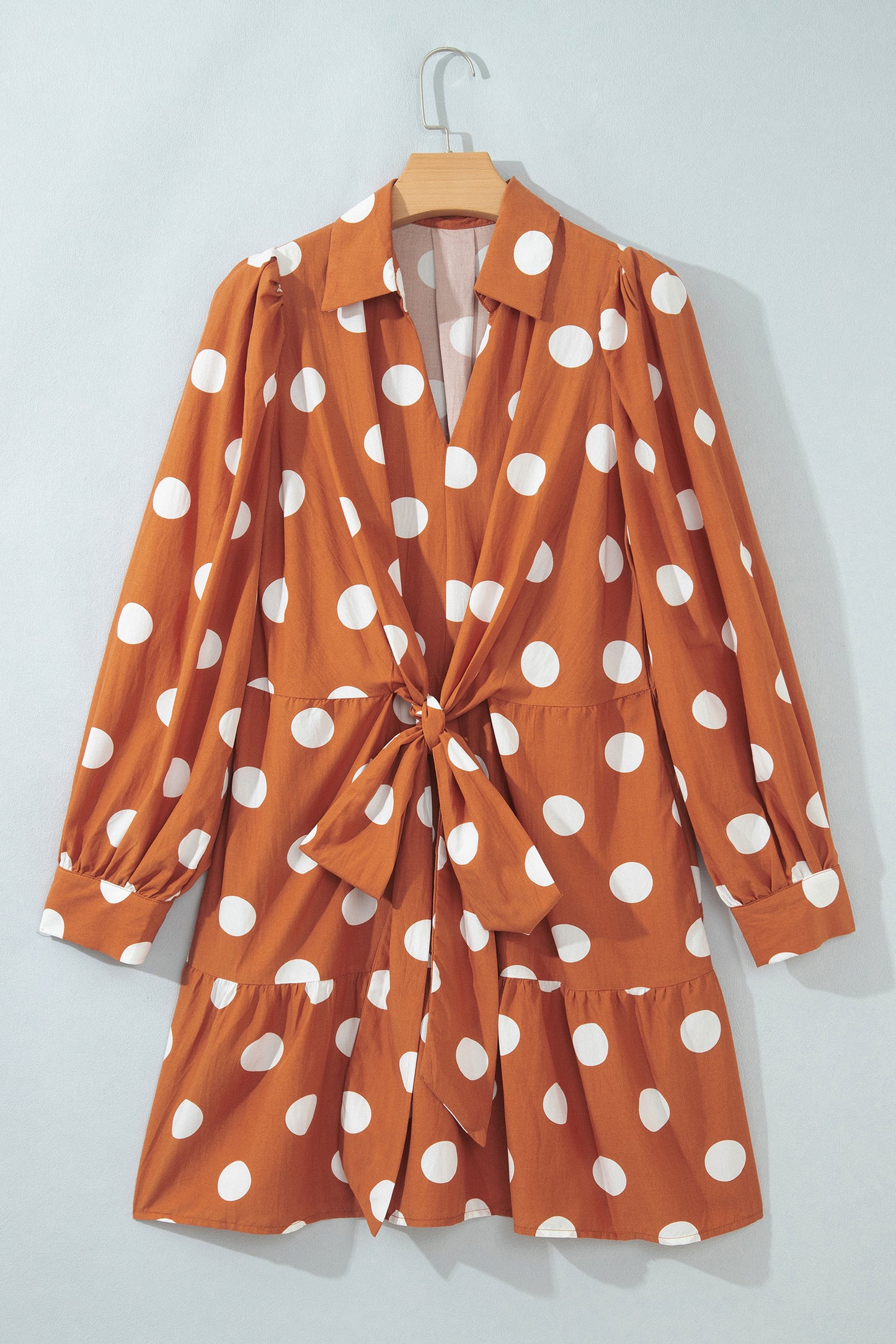 Brown Polka Dot Long Sleeve Tie Waist Casual Shift Mini Dress