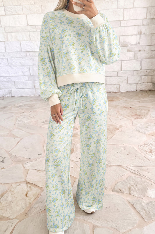 Sky Blue Floral Print Long Sleeve Top Drawstring Wide Leg Pants Set-Two Piece Sets/Pant Sets-[Adult]-[Female]-Sky Blue-S-2022 Online Blue Zone Planet