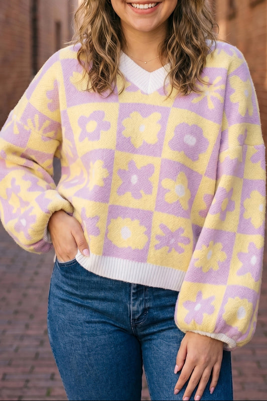 Multicolour V Neck Plaid Floral Long Sleeve Plus Size Sweater-Plus Size/Plus Size Sweaters & Cardigans-[Adult]-[Female]-Multicolour-1X-2022 Online Blue Zone Planet