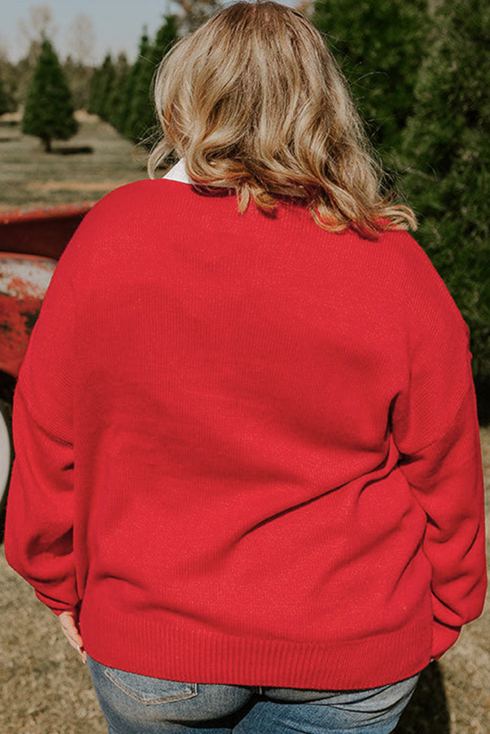 Fiery Red Merry Graphic Christmas Plus Size Sweater-Plus Size/Plus Size Sweaters & Cardigans-[Adult]-[Female]-2022 Online Blue Zone Planet