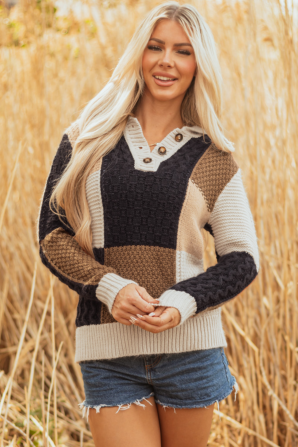 Multicolour Color Block Cable Knit Sleeve Buttons Collared Sweater-TOPS / DRESSES-[Adult]-[Female]-2022 Online Blue Zone Planet