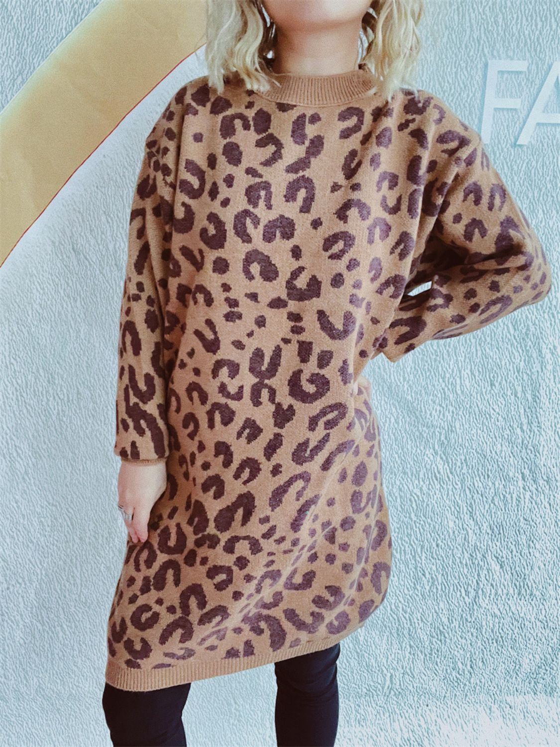 Leopard Round Neck Long Sleeve Sweater-TOPS / DRESSES-[Adult]-[Female]-2022 Online Blue Zone Planet