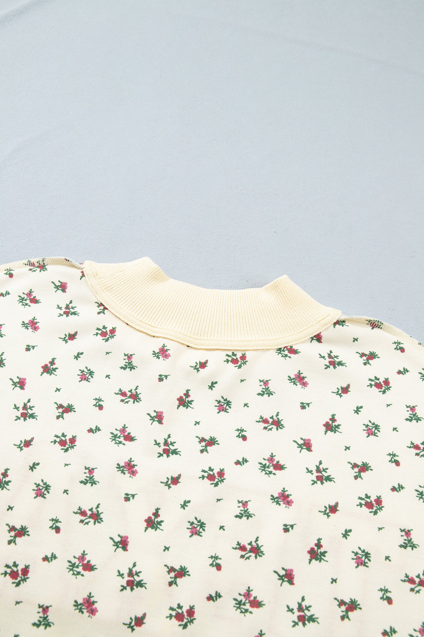 Beige Floral Print Stand Neck Long Sleeve Slogan Sweatshirt-Tops/Sweatshirts & Hoodies-[Adult]-[Female]-2022 Online Blue Zone Planet