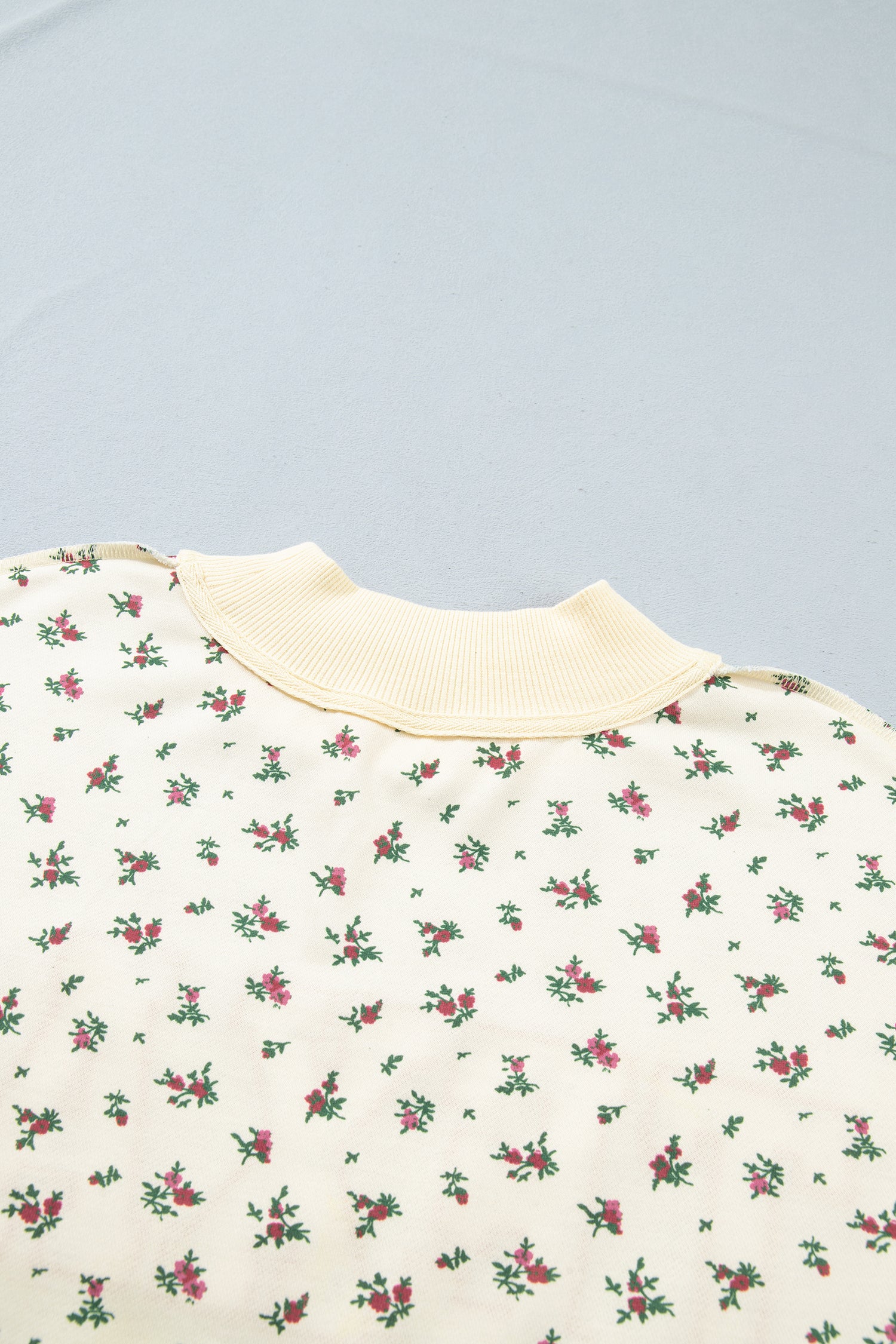 Beige Floral Print Stand Neck Long Sleeve Slogan Sweatshirt-Tops/Sweatshirts & Hoodies-[Adult]-[Female]-2022 Online Blue Zone Planet