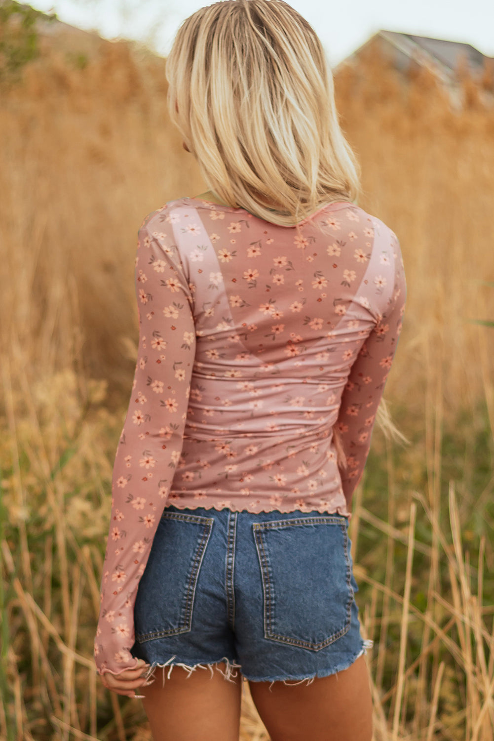 Sky Blue Vintage Floral Print Southern Style Mesh Long Sleeve Top-Tops/Long Sleeve Tops-[Adult]-[Female]-2022 Online Blue Zone Planet