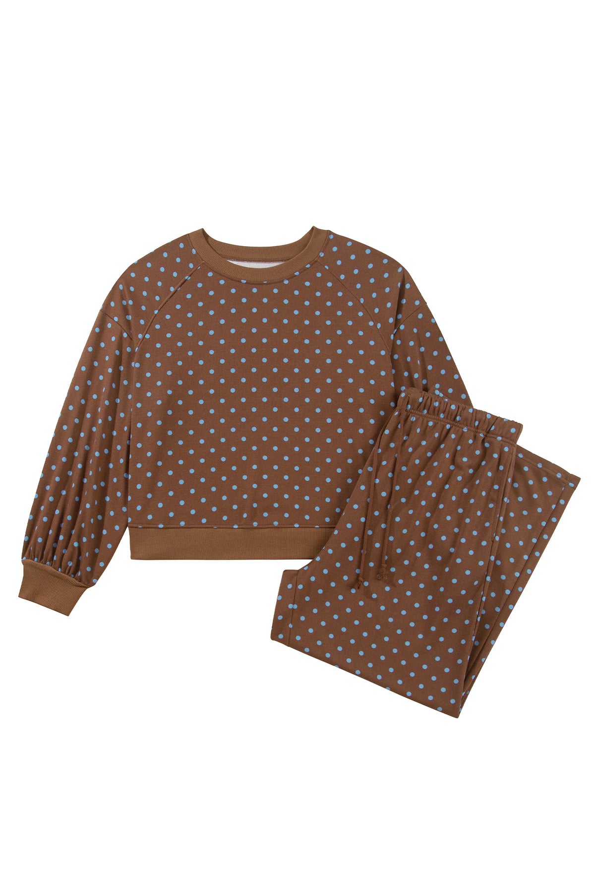 Brown Polka Dot Round Neck Long Sleeve Plus Size Set-Plus Size/Plus Size Loungewear-[Adult]-[Female]-2022 Online Blue Zone Planet