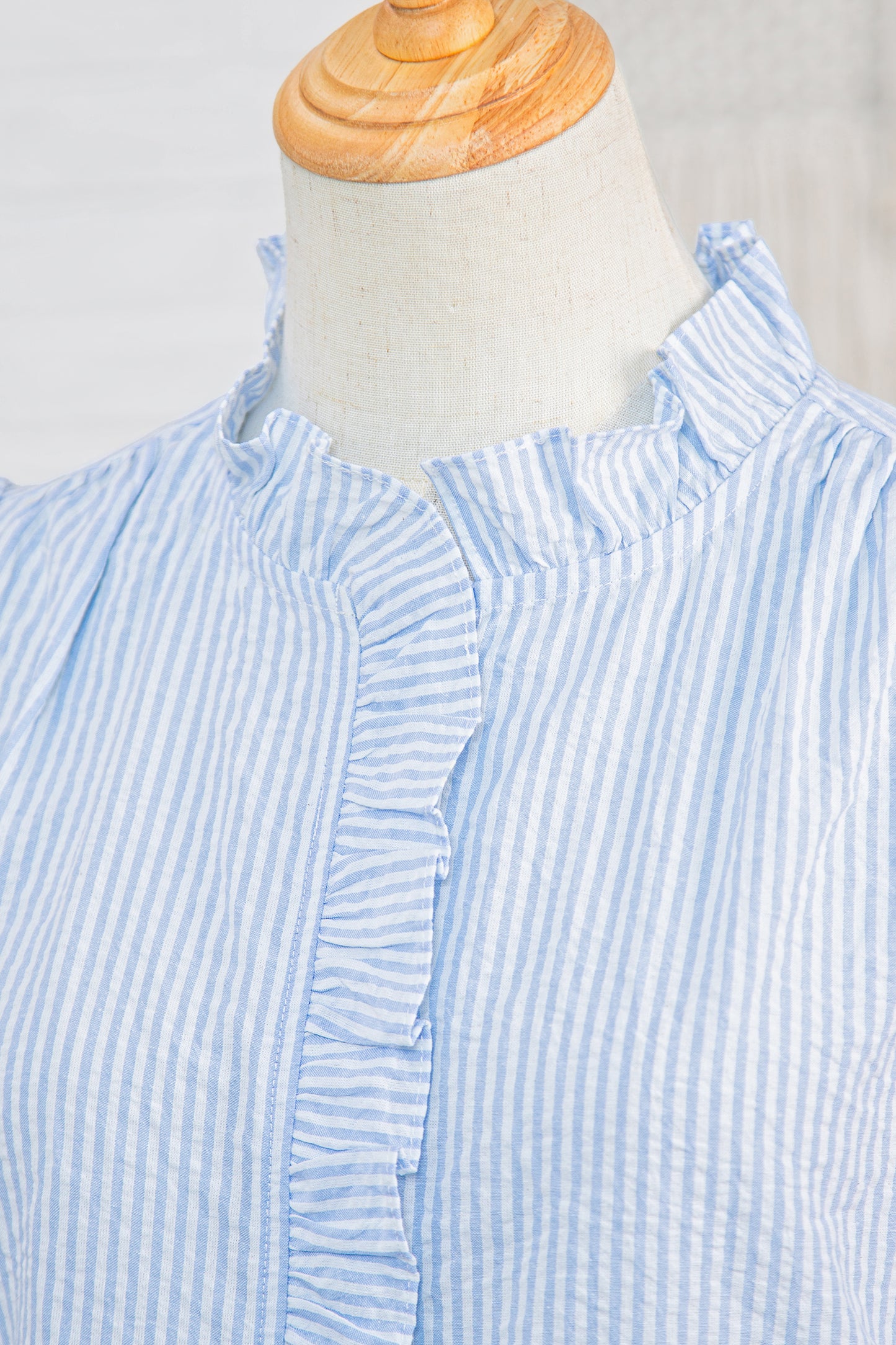 Sky Blue Stripe Floral Embroidered Puff Sleeve Ruffle Trim Shirt-Tops/Blouses & Shirts-[Adult]-[Female]-2022 Online Blue Zone Planet