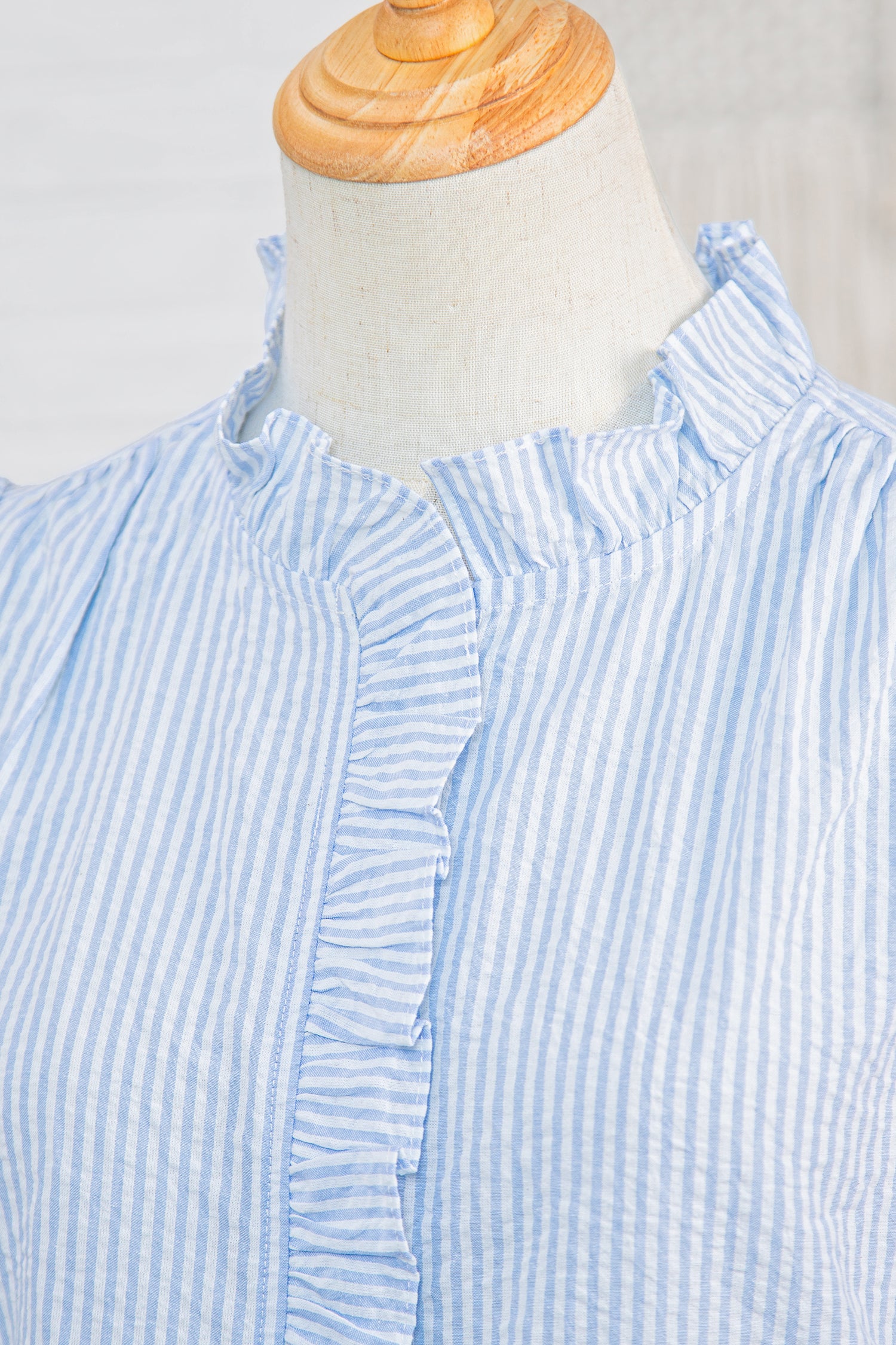 Sky Blue Stripe Floral Embroidered Puff Sleeve Ruffle Trim Shirt-Tops/Blouses & Shirts-[Adult]-[Female]-2022 Online Blue Zone Planet