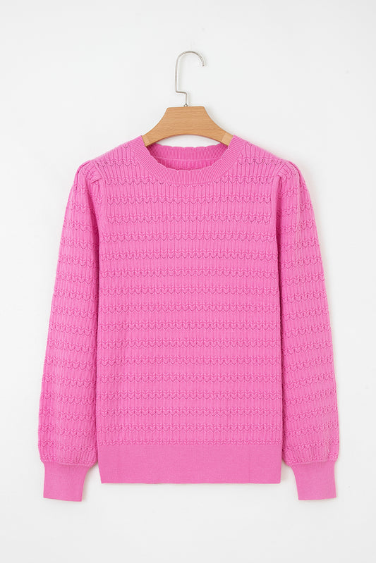 Bright Pink Trendy Pattern Knit Ribbed Cuffs Crew Neck Sweater-TOPS / DRESSES-[Adult]-[Female]-2022 Online Blue Zone Planet