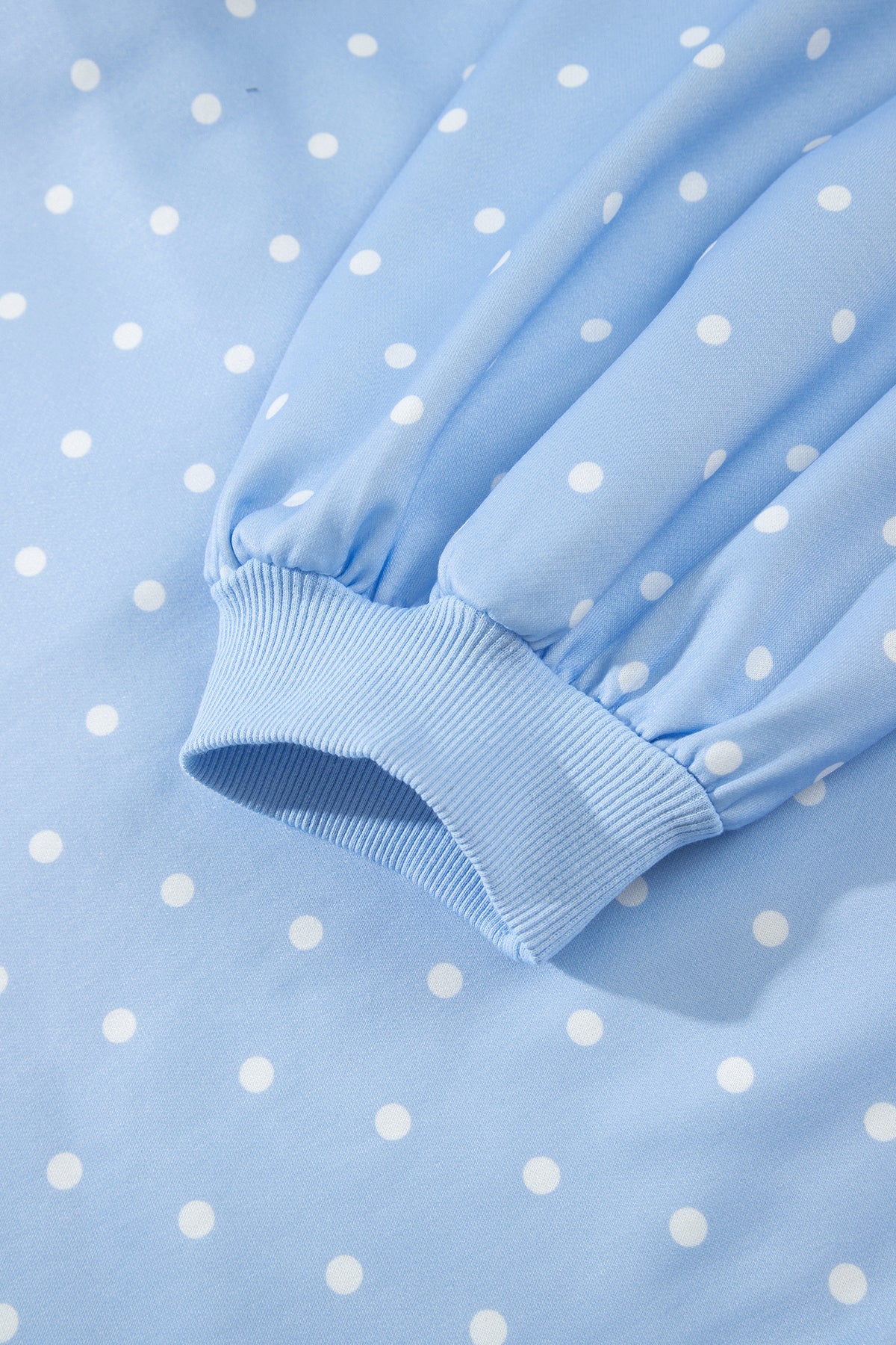 Sky Blue Polka Dot V Neck Metal Button Long Sleeve Shift Plus Size Sweatshirt-Plus Size/Plus Size Sweatshirts & Hoodies-[Adult]-[Female]-2022 Online Blue Zone Planet