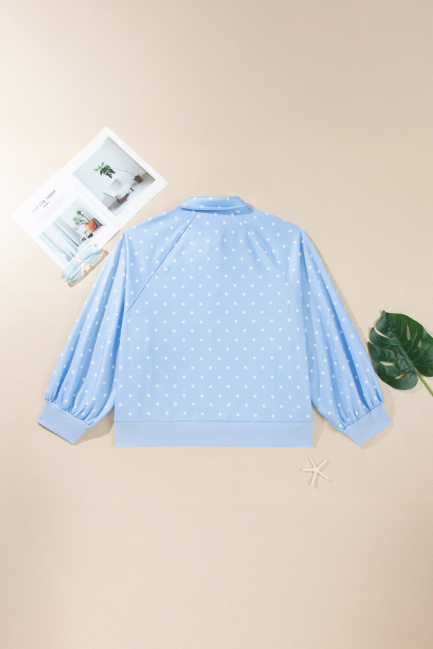 Sky Blue Polka Dot V Neck Metal Button Long Sleeve Shift Plus Size Sweatshirt-Plus Size/Plus Size Sweatshirts & Hoodies-[Adult]-[Female]-2022 Online Blue Zone Planet