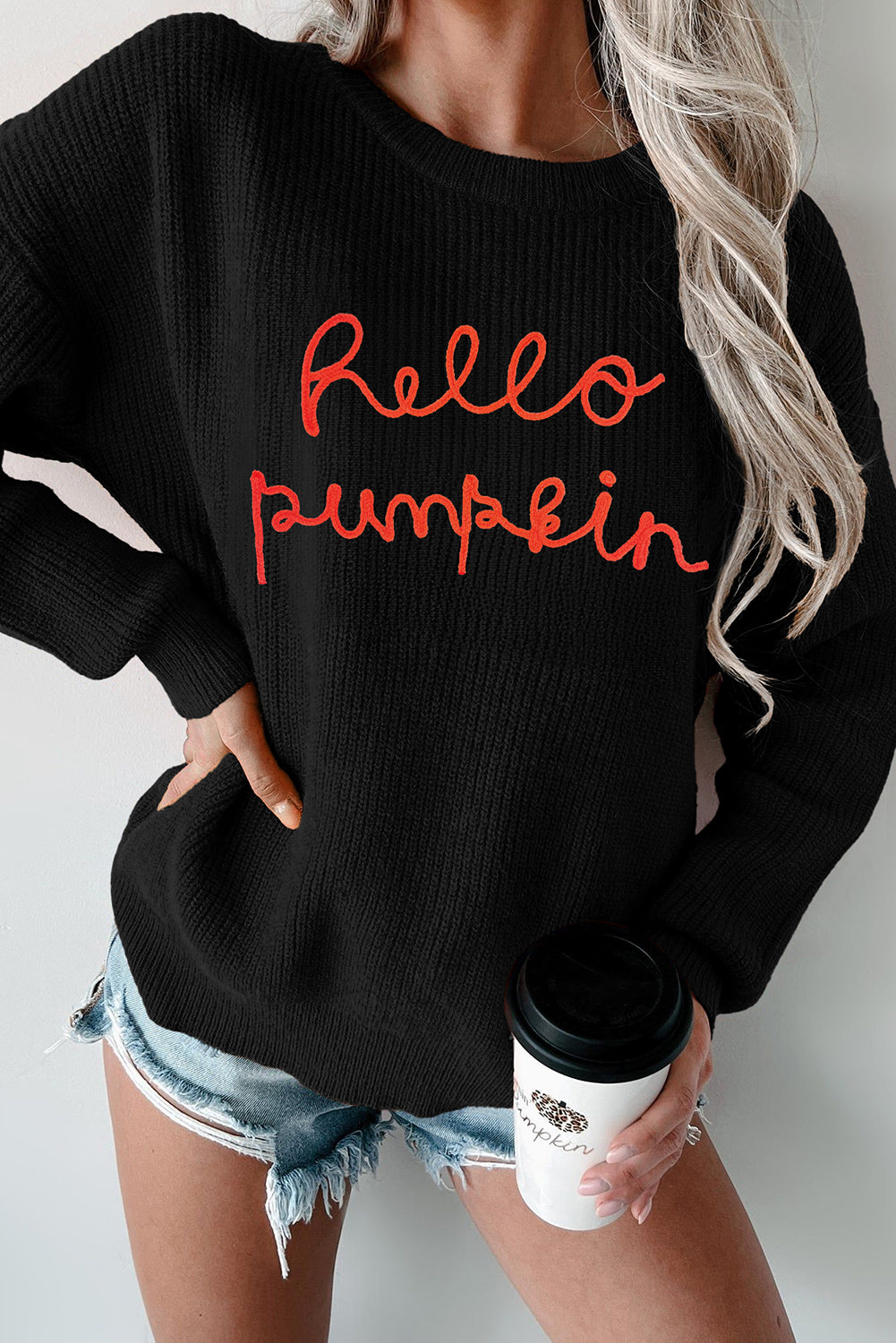 Black Hello Pumpkin Graphic Sweater-Sweaters & Cardigans/Sweaters-[Adult]-[Female]-Black-S-2022 Online Blue Zone Planet