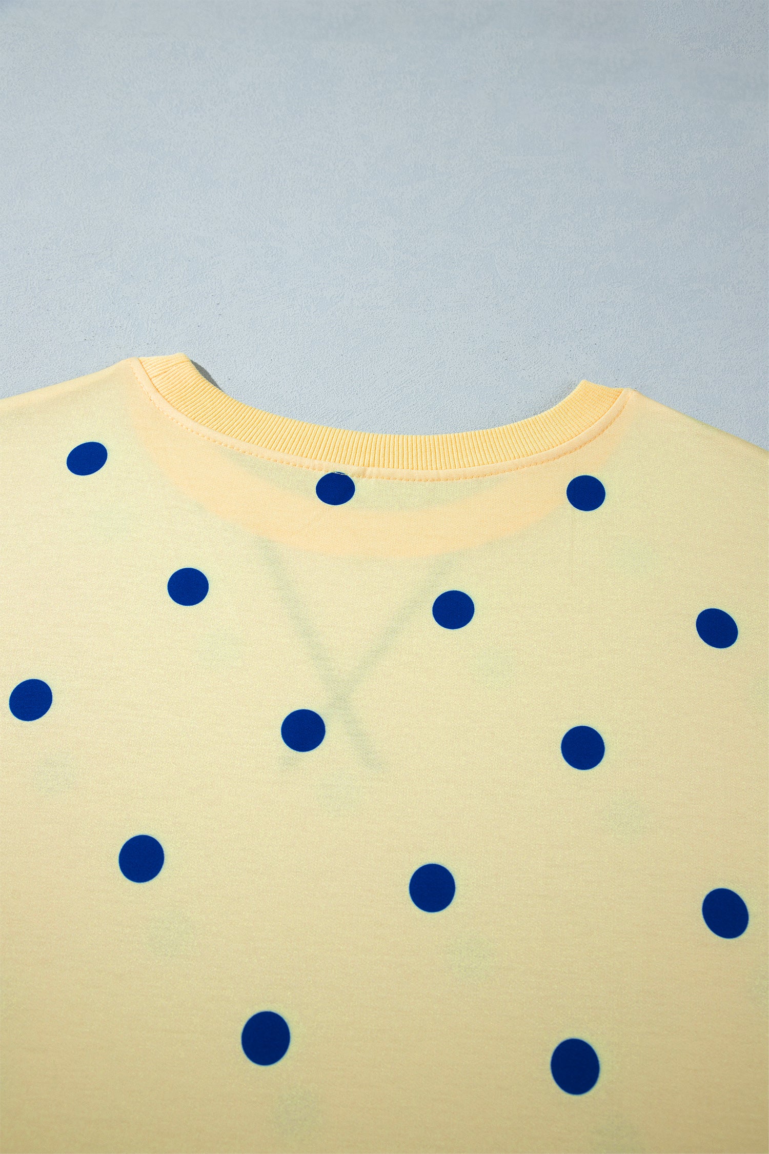 Yellow Round Neck Long Sleeve Polka Dot Plus Size Top-Plus Size/Plus Size Sweatshirts & Hoodies-[Adult]-[Female]-2022 Online Blue Zone Planet