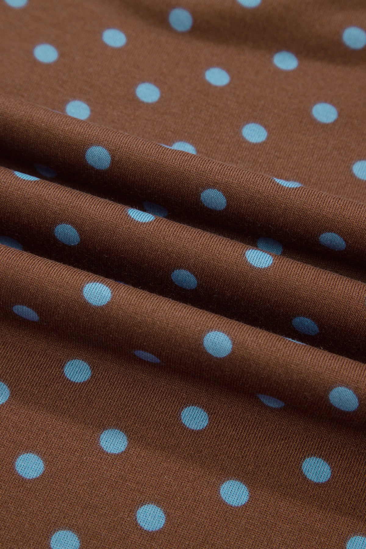 Brown Polka Dot Round Neck Long Sleeve Plus Size Set-Plus Size/Plus Size Loungewear-[Adult]-[Female]-2022 Online Blue Zone Planet