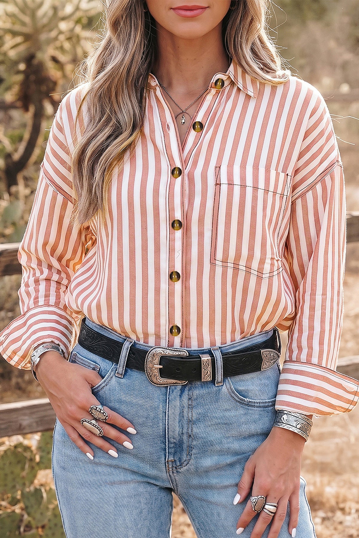 Brown Stripe Western Button Down Long Sleeve Casual Shirt-Tops/Blouses & Shirts-[Adult]-[Female]-2022 Online Blue Zone Planet