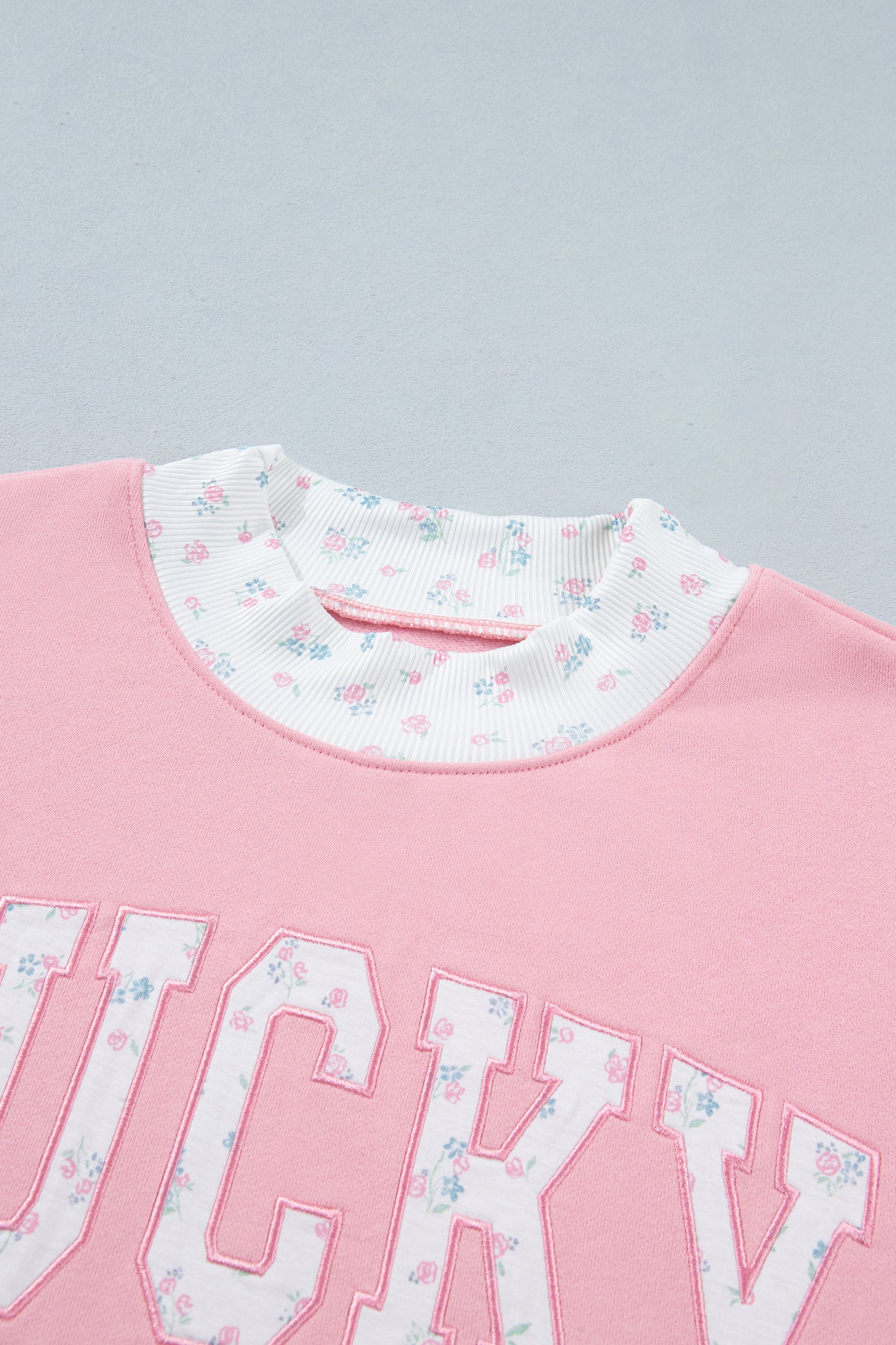 Pink High Neck Floral Patch Embroidery Long Sleeve Sweatshirt-Tops/Sweatshirts & Hoodies-[Adult]-[Female]-2022 Online Blue Zone Planet