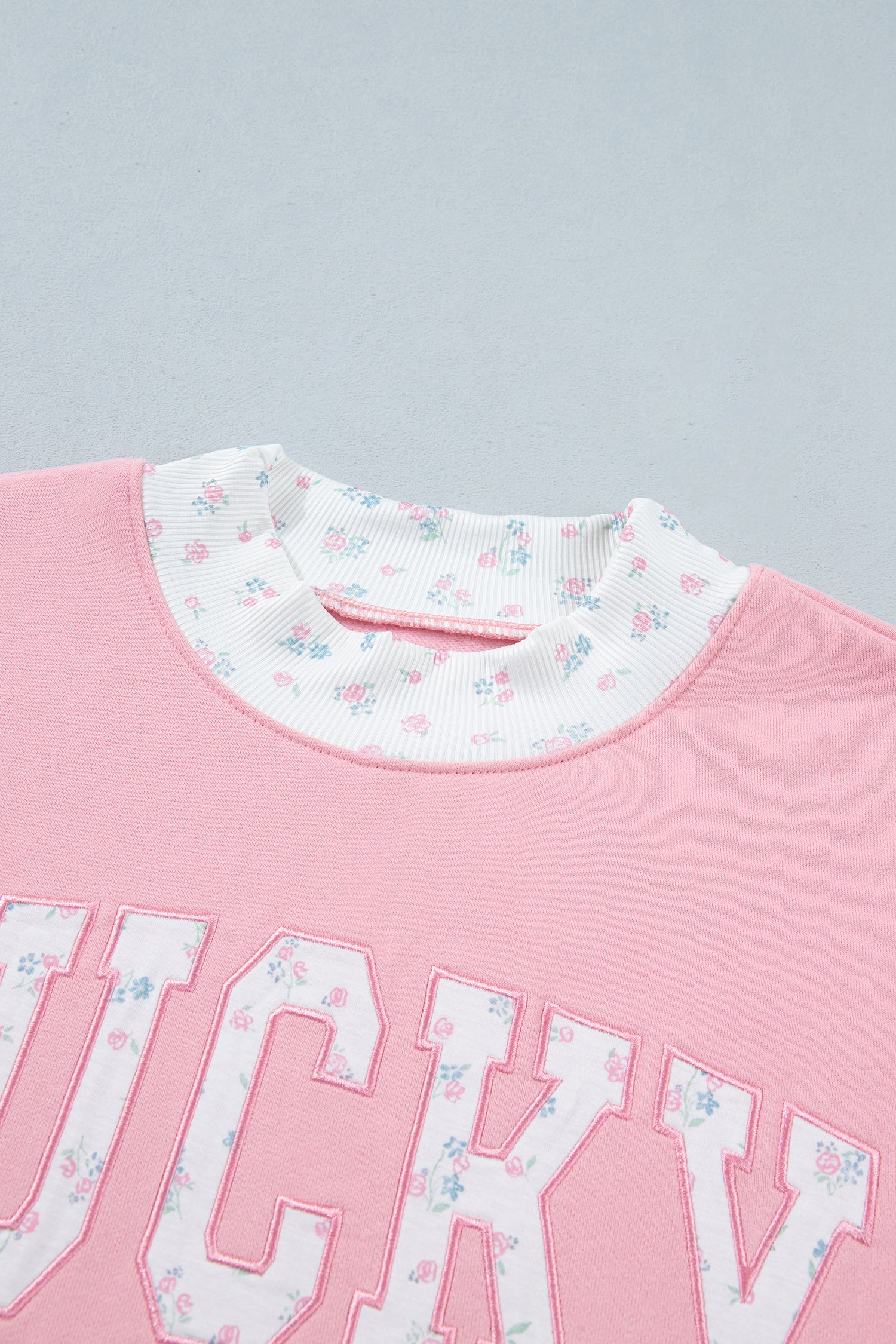 Pink High Neck Floral Patch Embroidery Long Sleeve Sweatshirt-Tops/Sweatshirts & Hoodies-[Adult]-[Female]-2022 Online Blue Zone Planet
