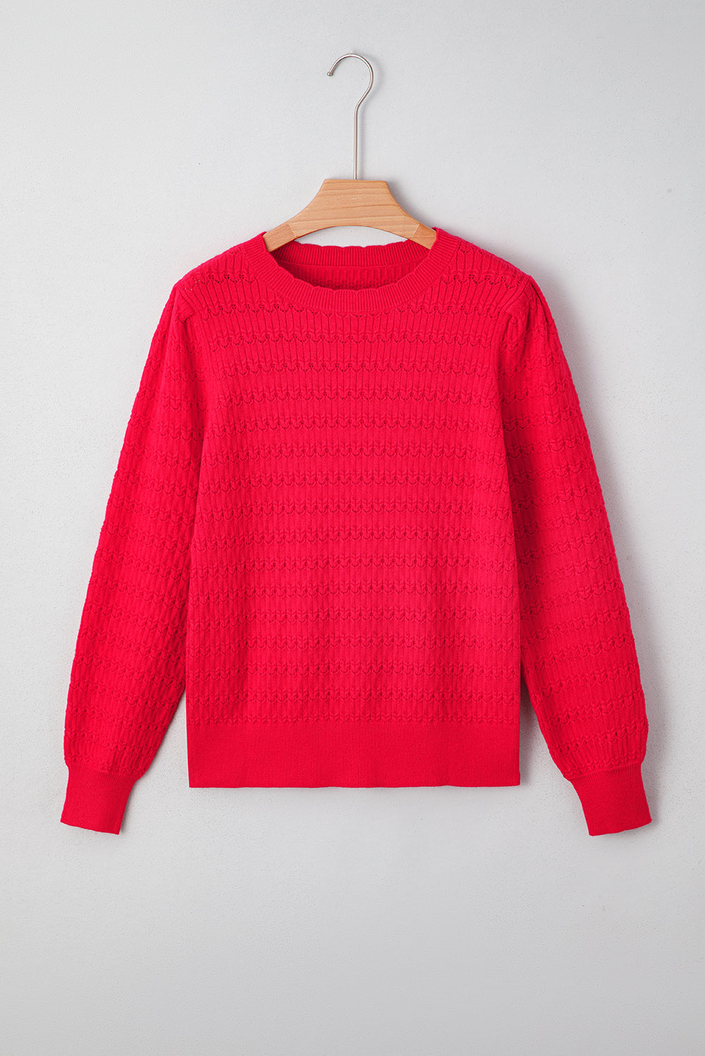 Fiery Red Trendy Pattern Knit Ribbed Cuffs Crew Neck Sweater-TOPS / DRESSES-[Adult]-[Female]-2022 Online Blue Zone Planet