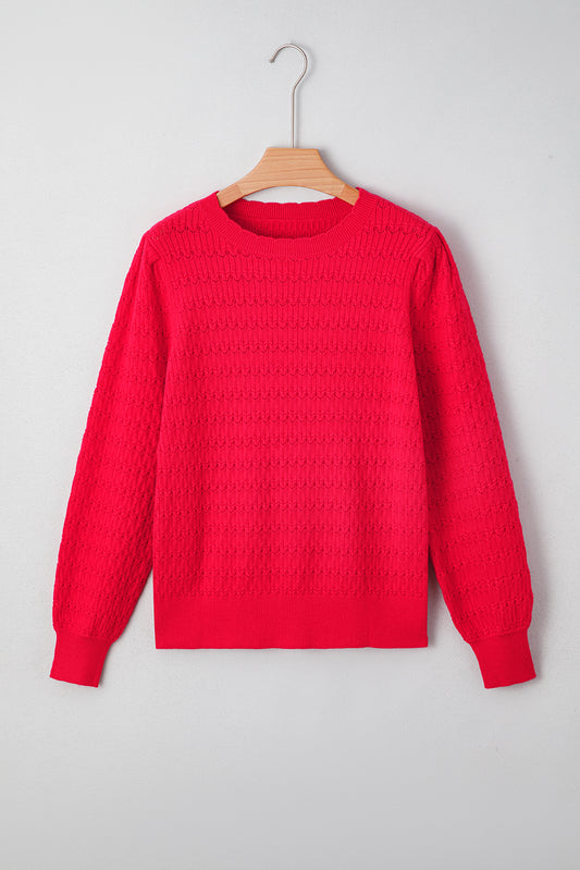 Fiery Red Trendy Pattern Knit Ribbed Cuffs Crew Neck Sweater-TOPS / DRESSES-[Adult]-[Female]-2022 Online Blue Zone Planet