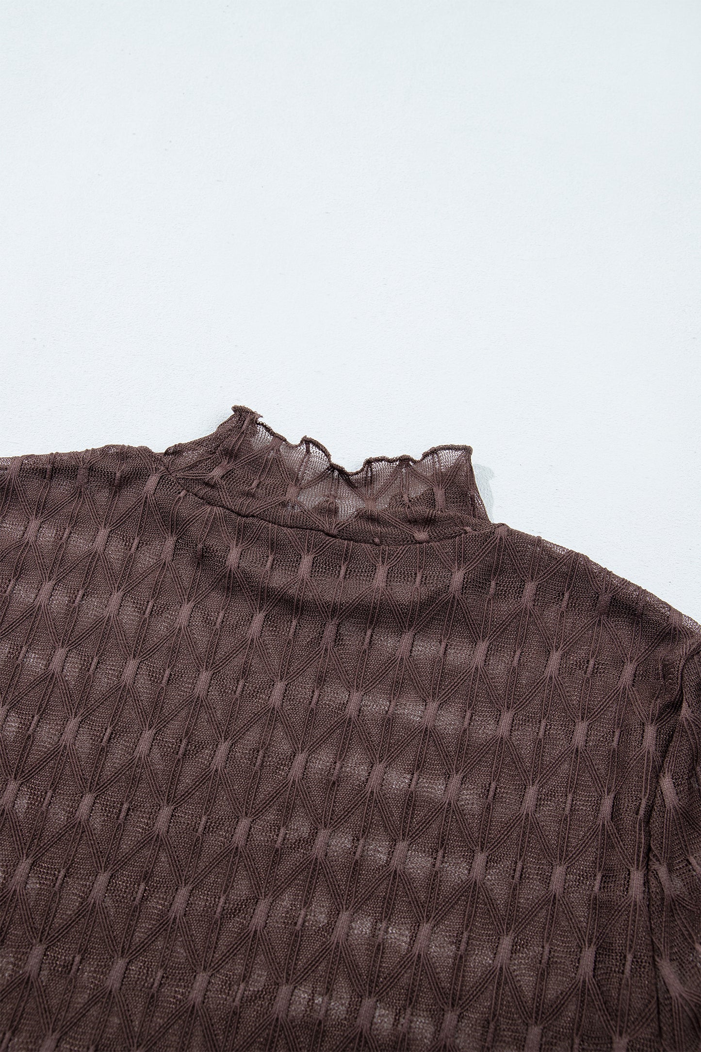 Chicory Coffee Sheer Textured Lace Stand Neck Long Sleeve Top-Tops/Long Sleeve Tops-[Adult]-[Female]-2022 Online Blue Zone Planet