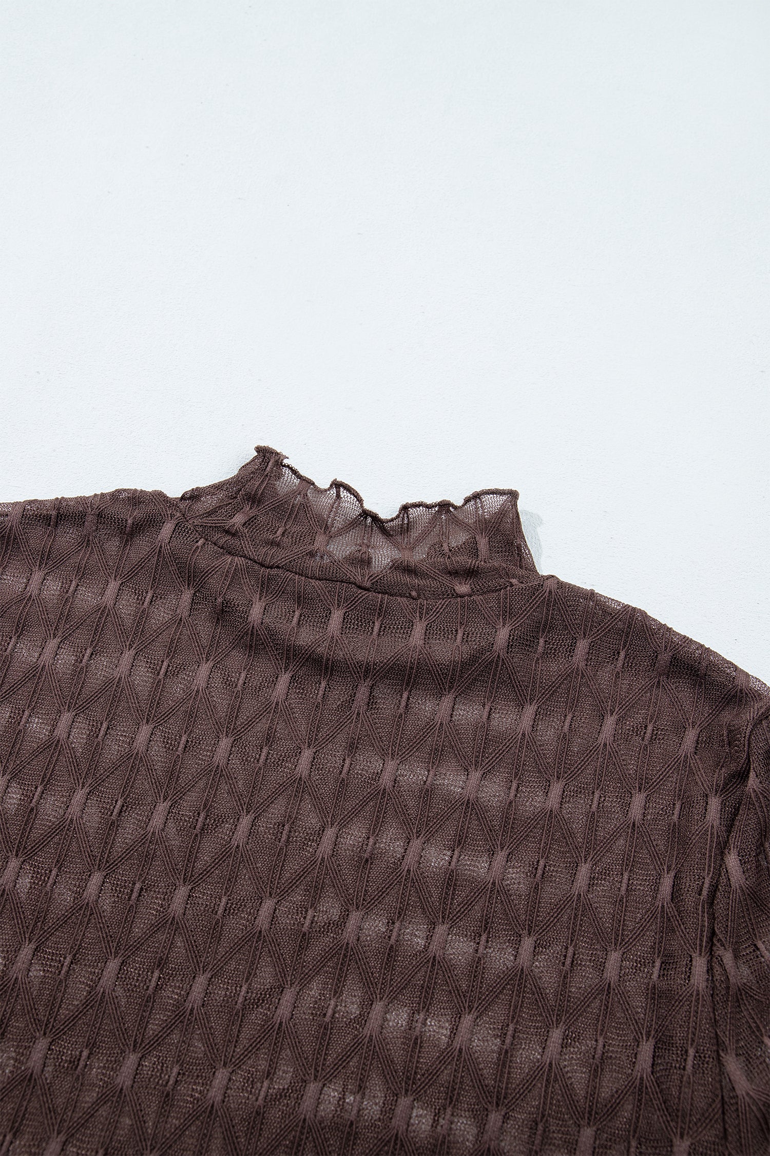 Chicory Coffee Sheer Textured Lace Stand Neck Long Sleeve Top-Tops/Long Sleeve Tops-[Adult]-[Female]-2022 Online Blue Zone Planet