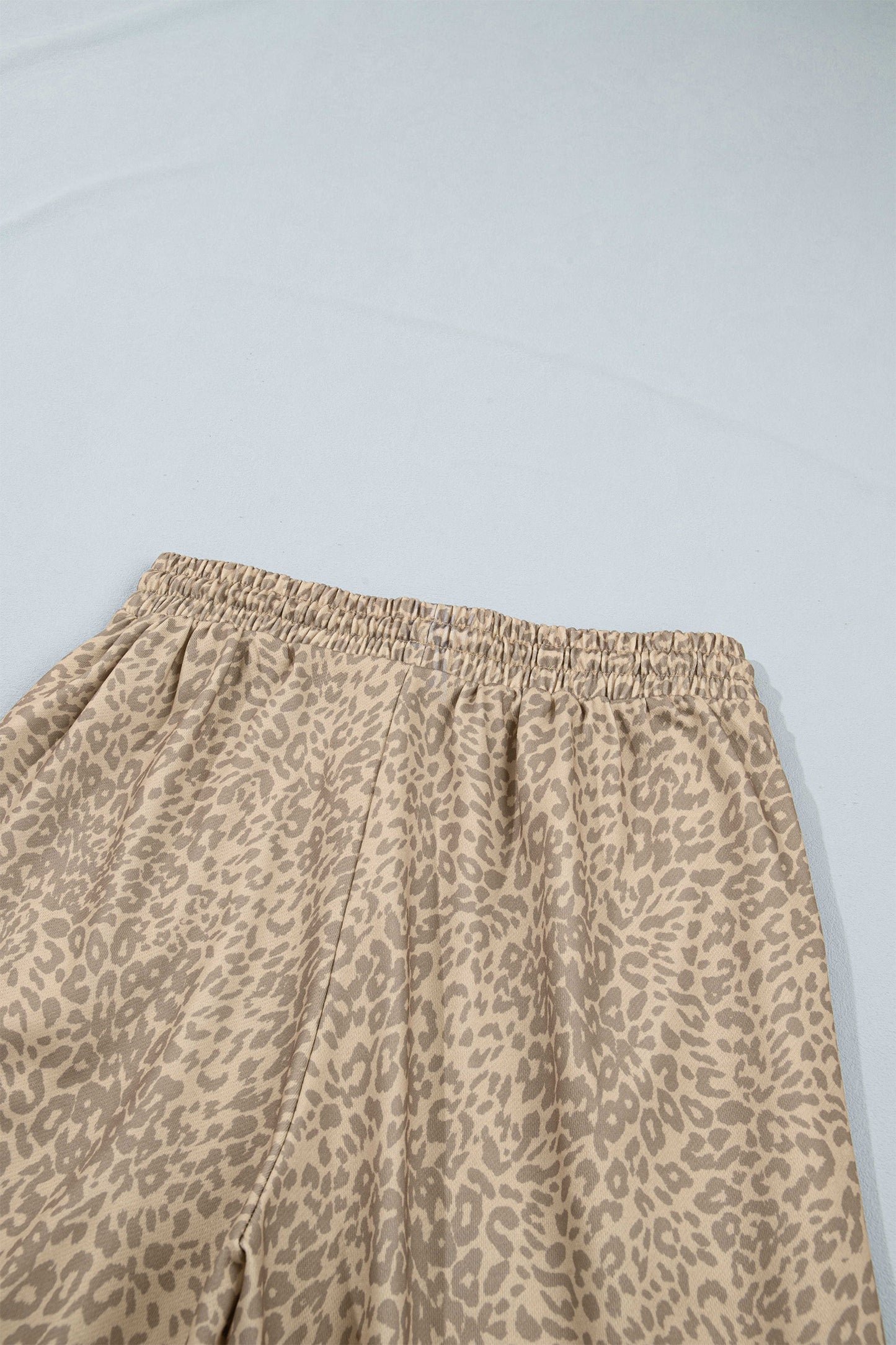 Khaki Leopard Star Print Long Sleeve Loose Casual Two Piece Pants Set-Two Piece Sets/Pant Sets-[Adult]-[Female]-2022 Online Blue Zone Planet