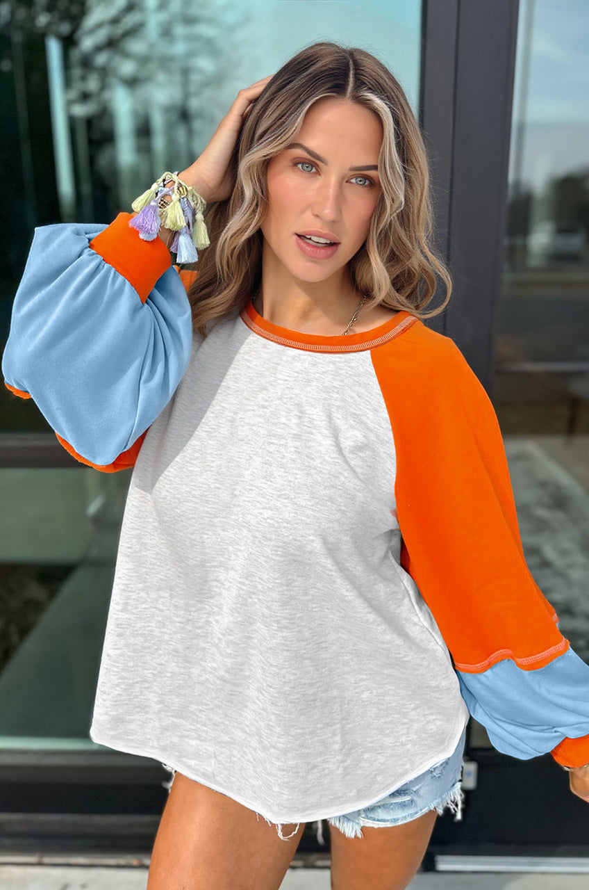 Light Grey Color Block Raglan Sleeve Contrast Stitching Loose Fit Top-Tops/Long Sleeve Tops-[Adult]-[Female]-2022 Online Blue Zone Planet