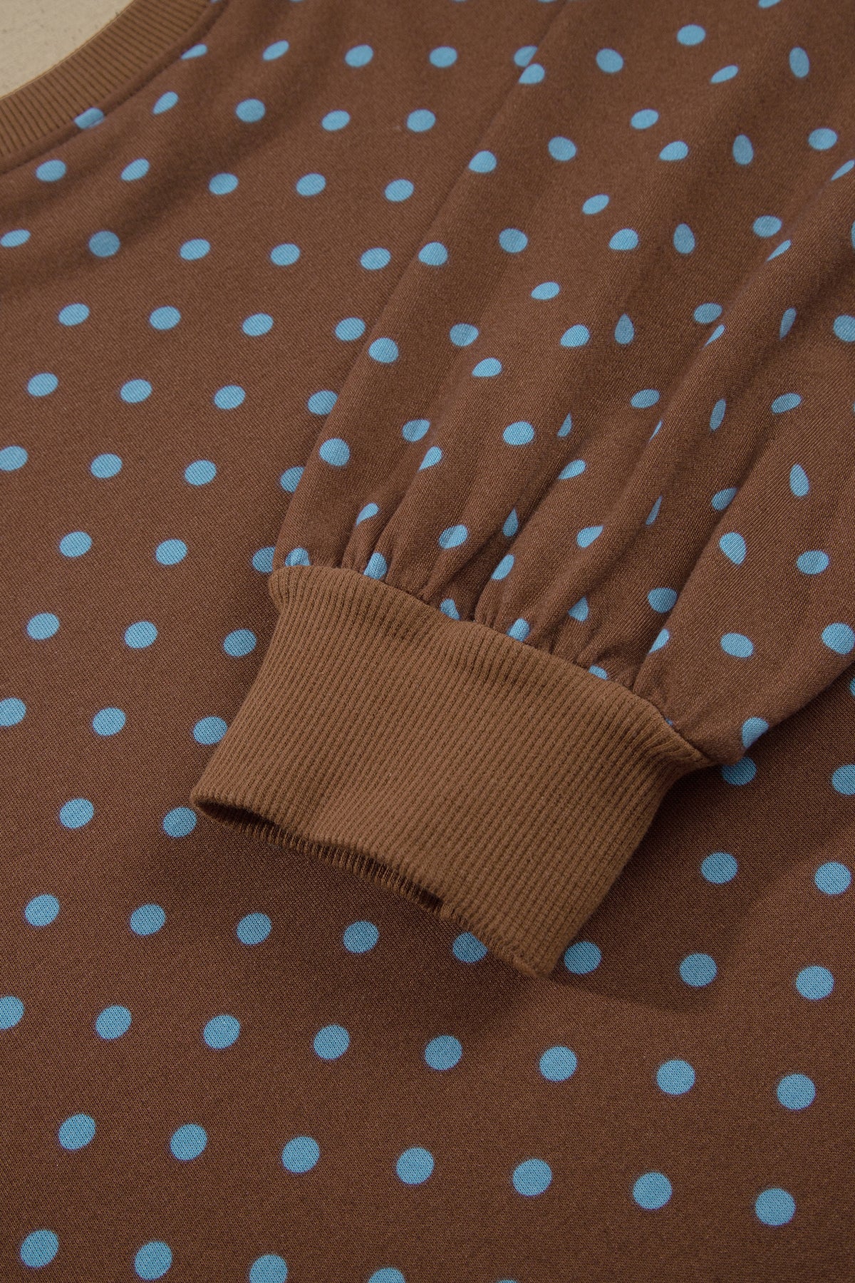 Brown Polka Dot Round Neck Long Sleeve Plus Size Set-Plus Size/Plus Size Loungewear-[Adult]-[Female]-2022 Online Blue Zone Planet