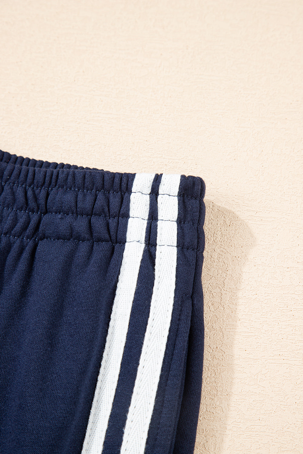 Dirty blue Varsity Striped Detail Crewneck Pullover Elastic Sweatpants 2pcs Outfit-Two Piece Sets/Pant Sets-[Adult]-[Female]-2022 Online Blue Zone Planet
