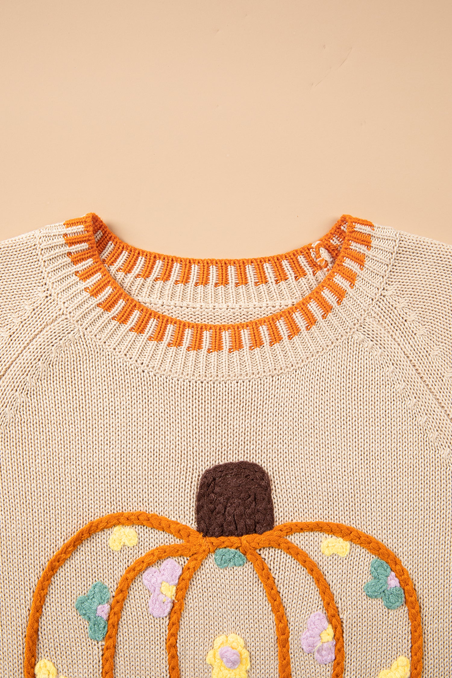 Parchment Floral Embroidery Pumpkin Long Sleeve Round Neck Sweater-Sweaters & Cardigans/Sweaters-[Adult]-[Female]-2022 Online Blue Zone Planet