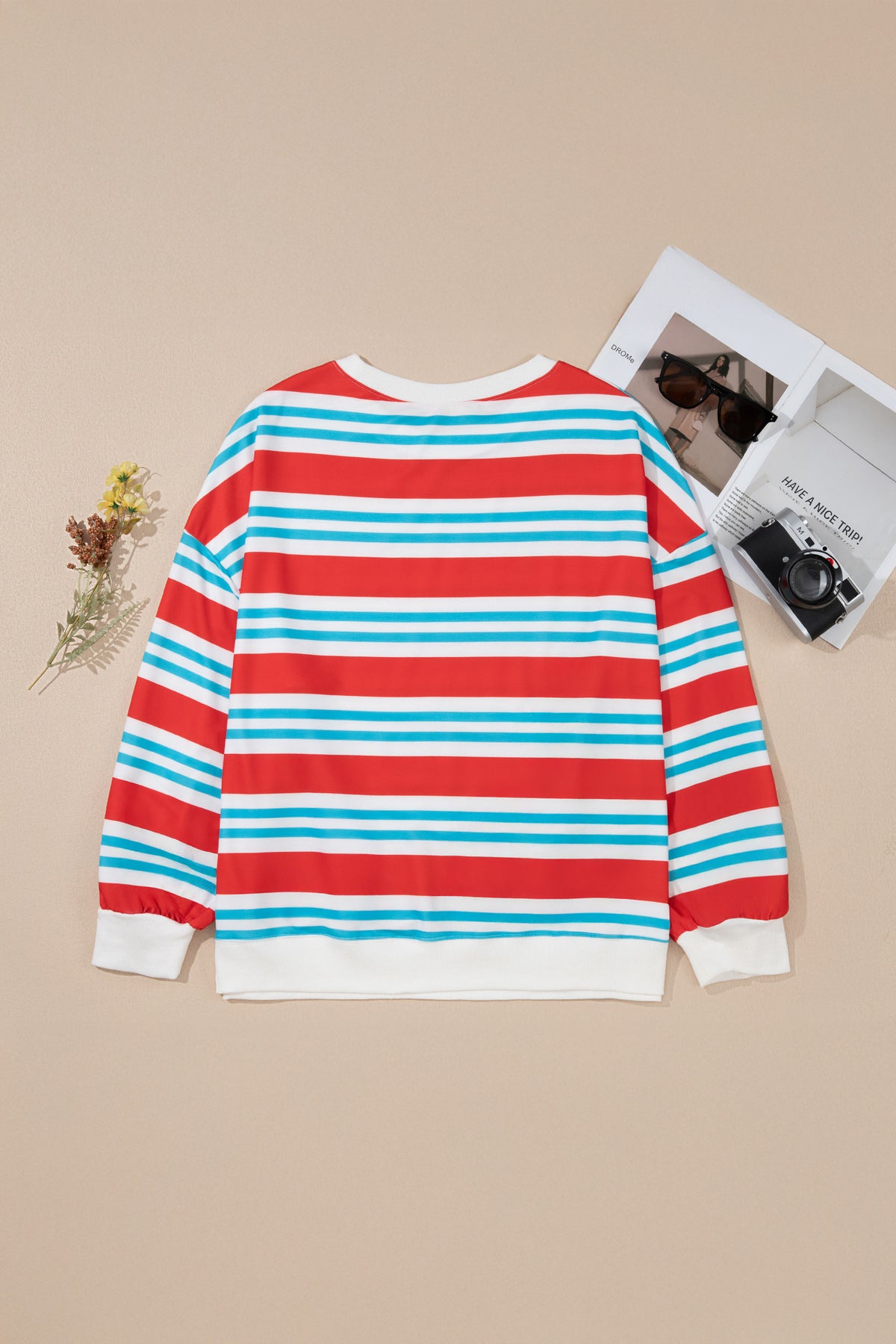 Red Stripe Striped Colorblock Long Sleeve Round Neck Tunic Plus Size Sweatshirt-Plus Size/Plus Size Sweatshirts & Hoodies-[Adult]-[Female]-2022 Online Blue Zone Planet