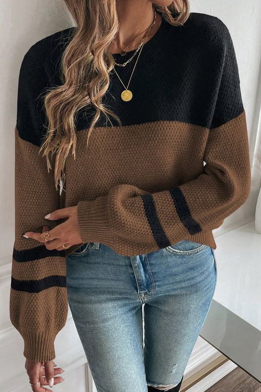 Dark Brown Color Block Knit Striped Sleeve Detail Casual Sweater-Sweaters & Cardigans/Sweaters-[Adult]-[Female]-Dark Brown-S-2022 Online Blue Zone Planet