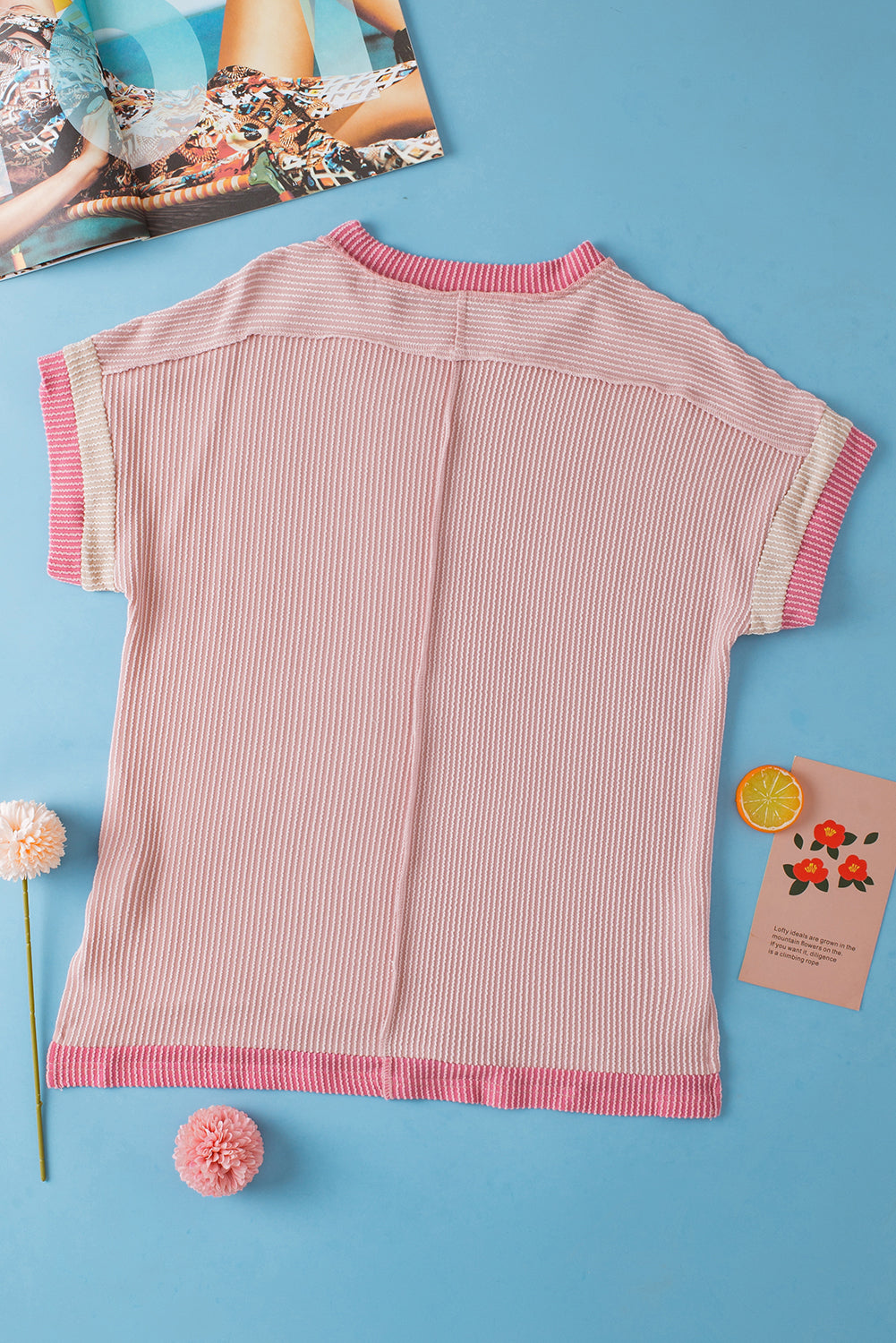 Sky Blue Textured Colorblock Round Neck T Shirt-T Shirts-[Adult]-[Female]-2022 Online Blue Zone Planet