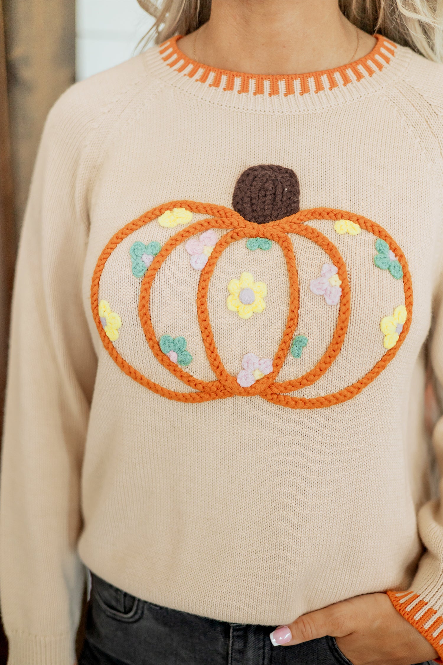 Parchment Floral Embroidery Pumpkin Long Sleeve Round Neck Sweater-Sweaters & Cardigans/Sweaters-[Adult]-[Female]-2022 Online Blue Zone Planet