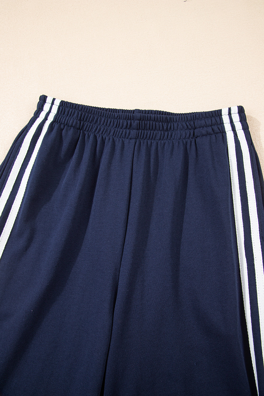 Dirty blue Varsity Striped Detail Crewneck Pullover Elastic Sweatpants 2pcs Outfit-Two Piece Sets/Pant Sets-[Adult]-[Female]-2022 Online Blue Zone Planet
