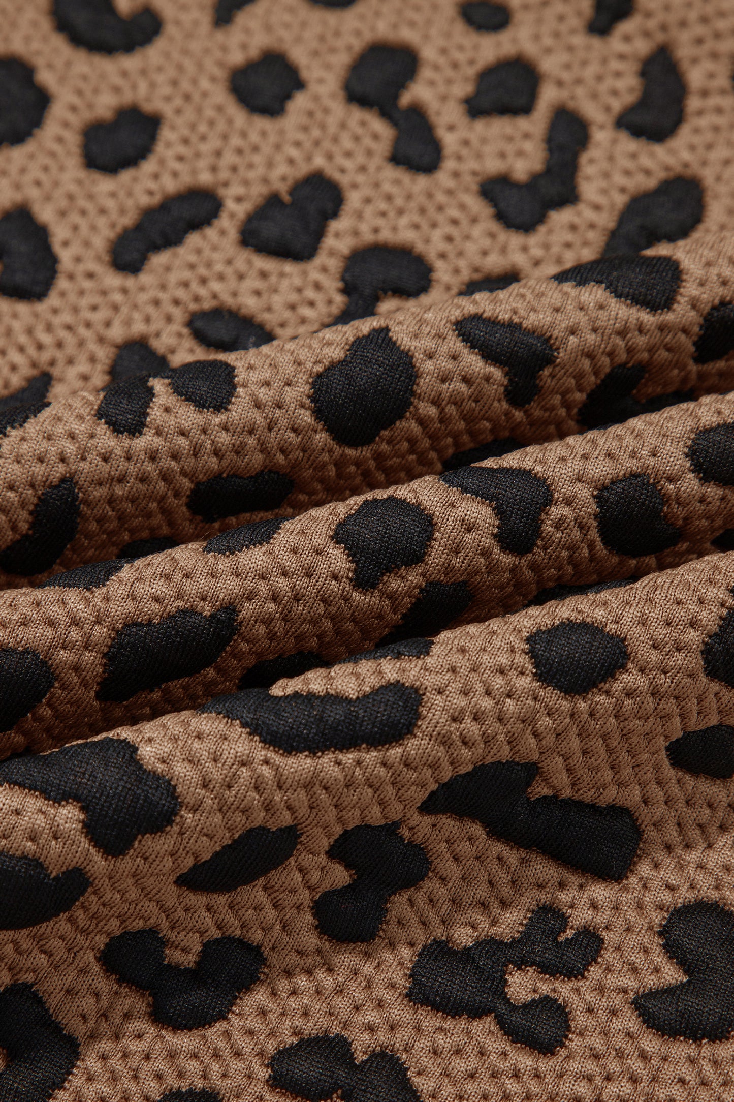 Brown Leopard Print Striped Trim Collar Long Sleeve Shift Pullover-Tops/Long Sleeve Tops-[Adult]-[Female]-2022 Online Blue Zone Planet