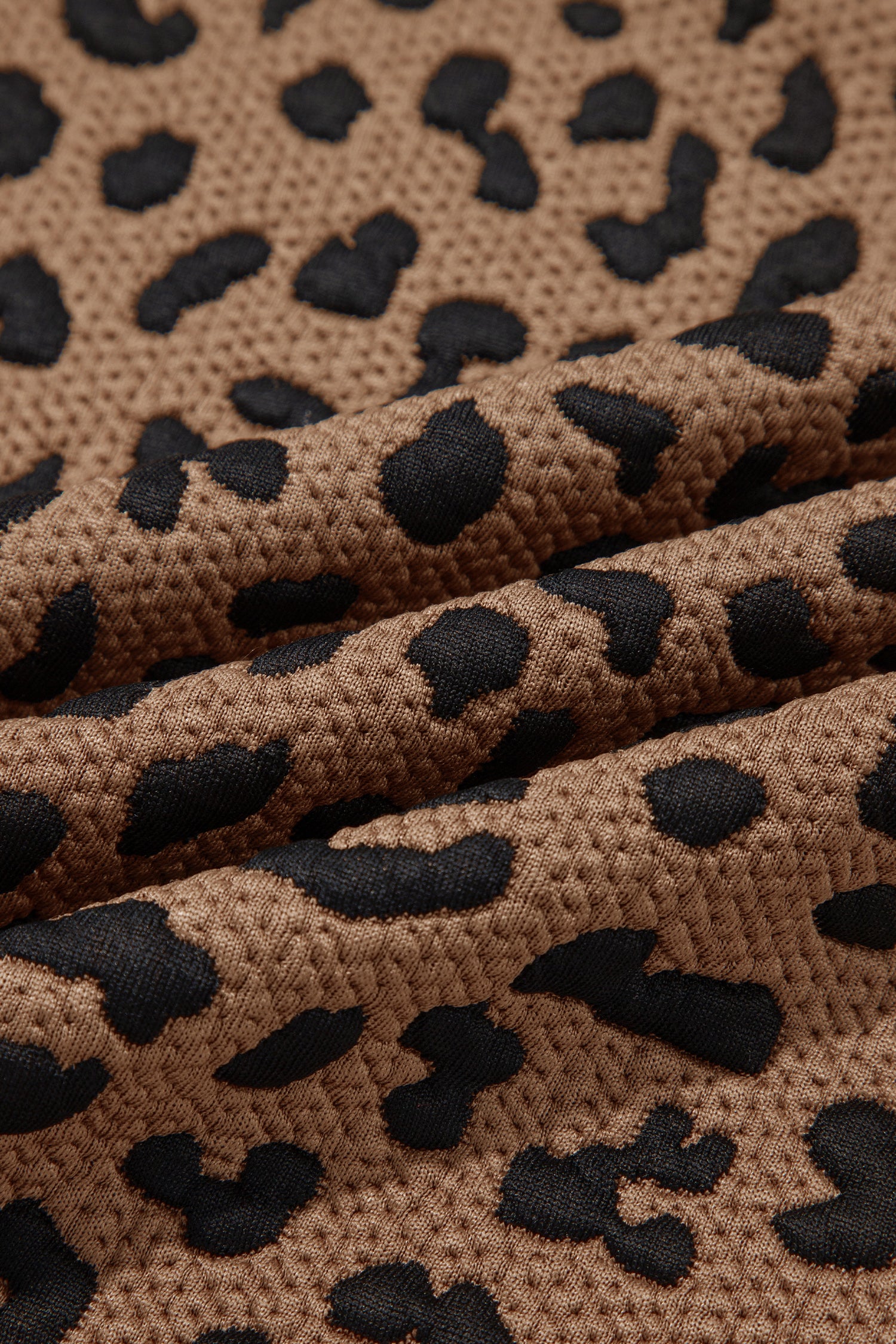 Brown Leopard Print Striped Trim Collar Long Sleeve Shift Pullover-Tops/Long Sleeve Tops-[Adult]-[Female]-2022 Online Blue Zone Planet