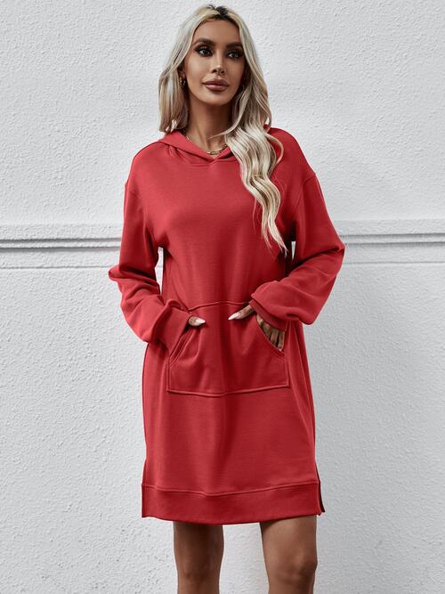 Slit Long Sleeve Hooded Dress with Pocket BLUE ZONE PLANET