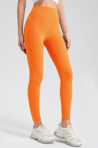 Blue Zone Planet |  High Waist Skinny Active Pants BLUE ZONE PLANET