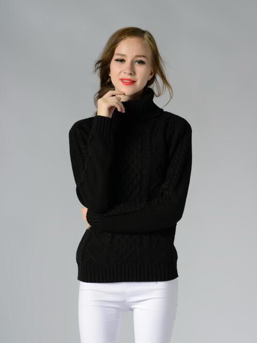 Cable-Knit Turtleneck Long Sleeve Sweater BLUE ZONE PLANET