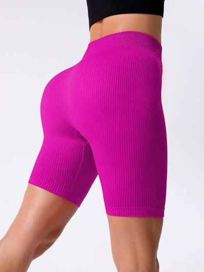 Blue Zone Planet |  High Waist Active Shorts BLUE ZONE PLANET