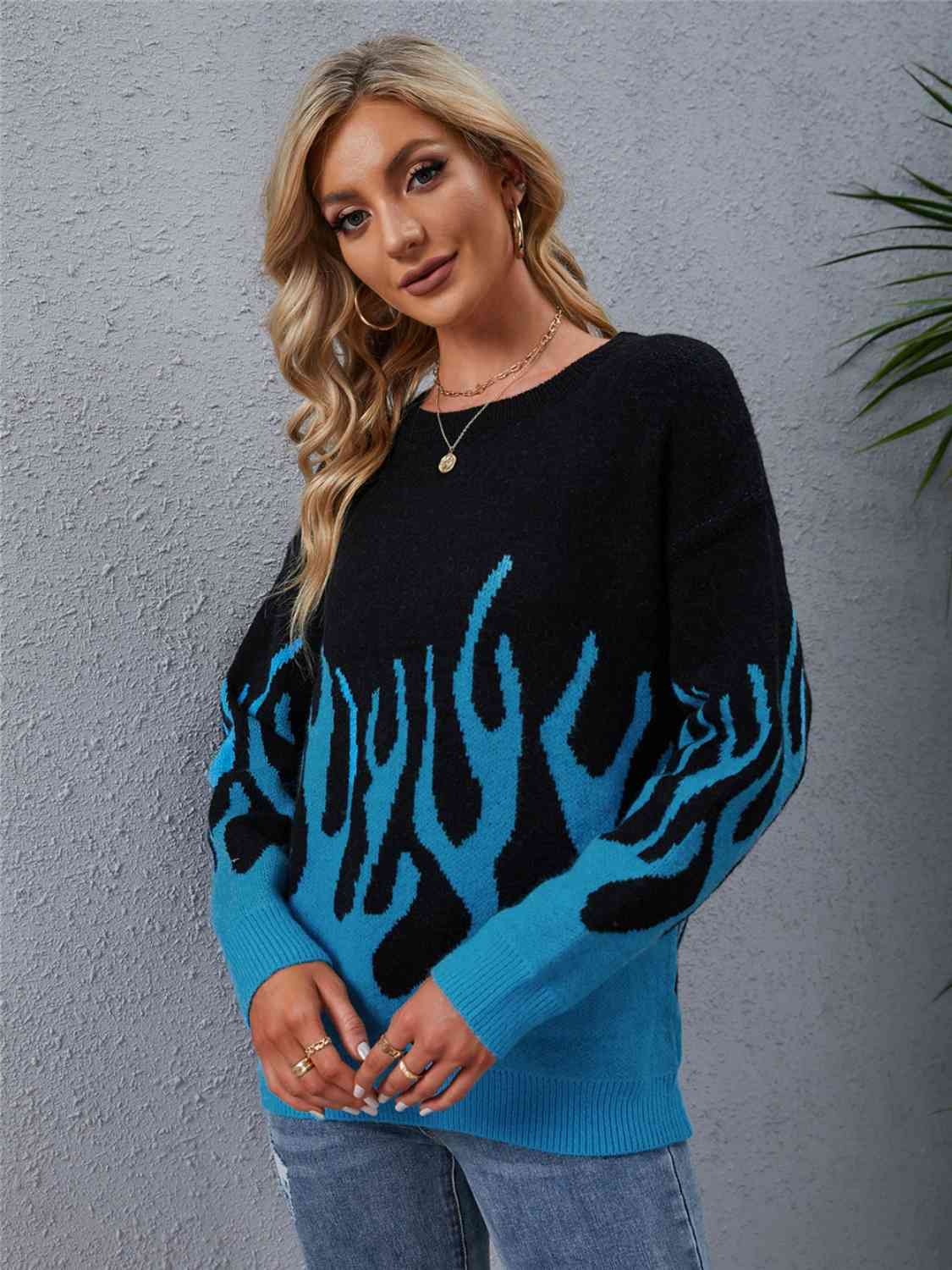 Printed Round Neck Long Sleeve Sweater BLUE ZONE PLANET