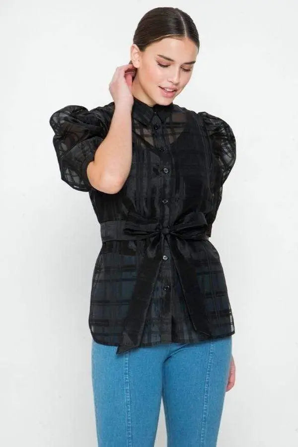 A See-thru Mini Length Organza Top Blue Zone Planet